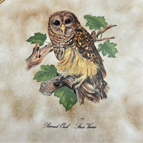 Owl Wall Art Tile Trivet Art 8.5”x8.5” - Picture 3 of 7